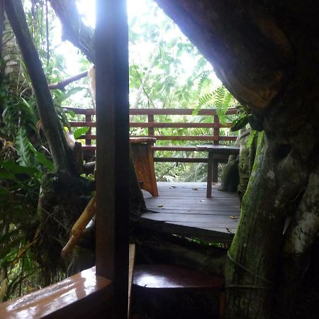 Topos Tree House Cahuita Eksteriør bilde