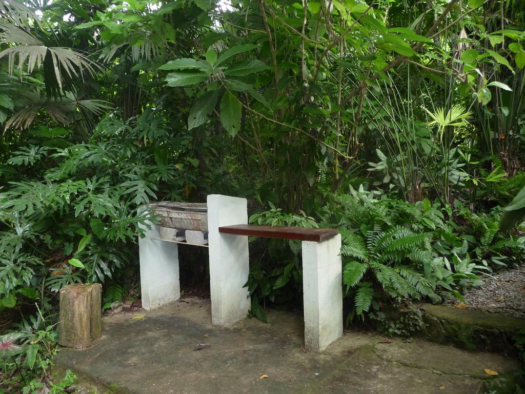 Topos Tree House Cahuita Eksteriør bilde