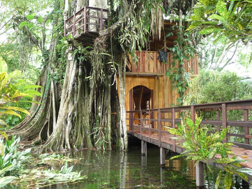 Topos Tree House Cahuita Eksteriør bilde