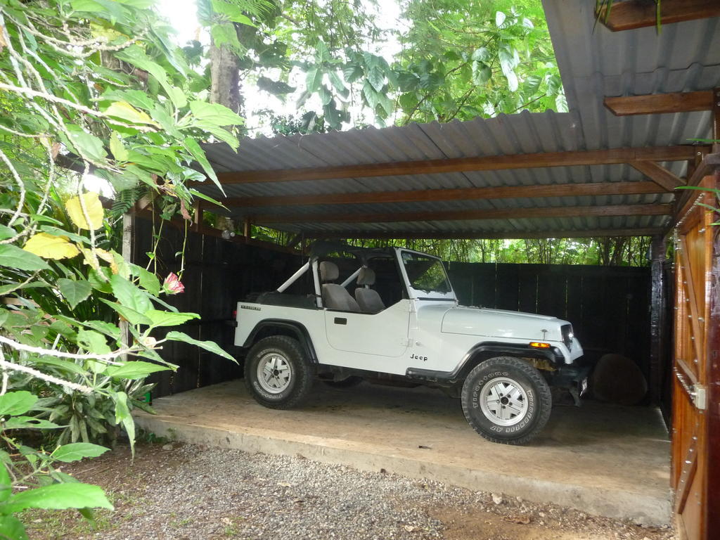 Topos Tree House Cahuita Eksteriør bilde