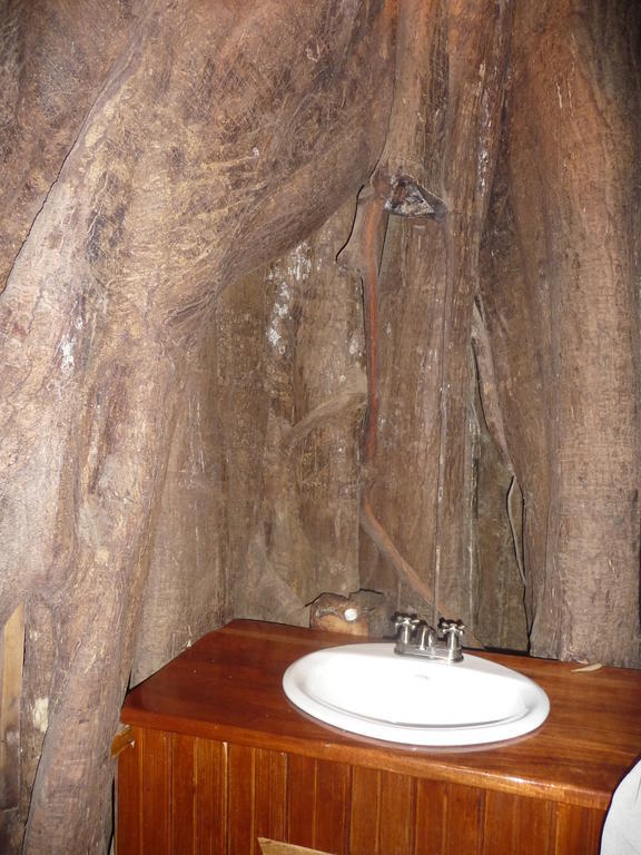 Topos Tree House Cahuita Eksteriør bilde