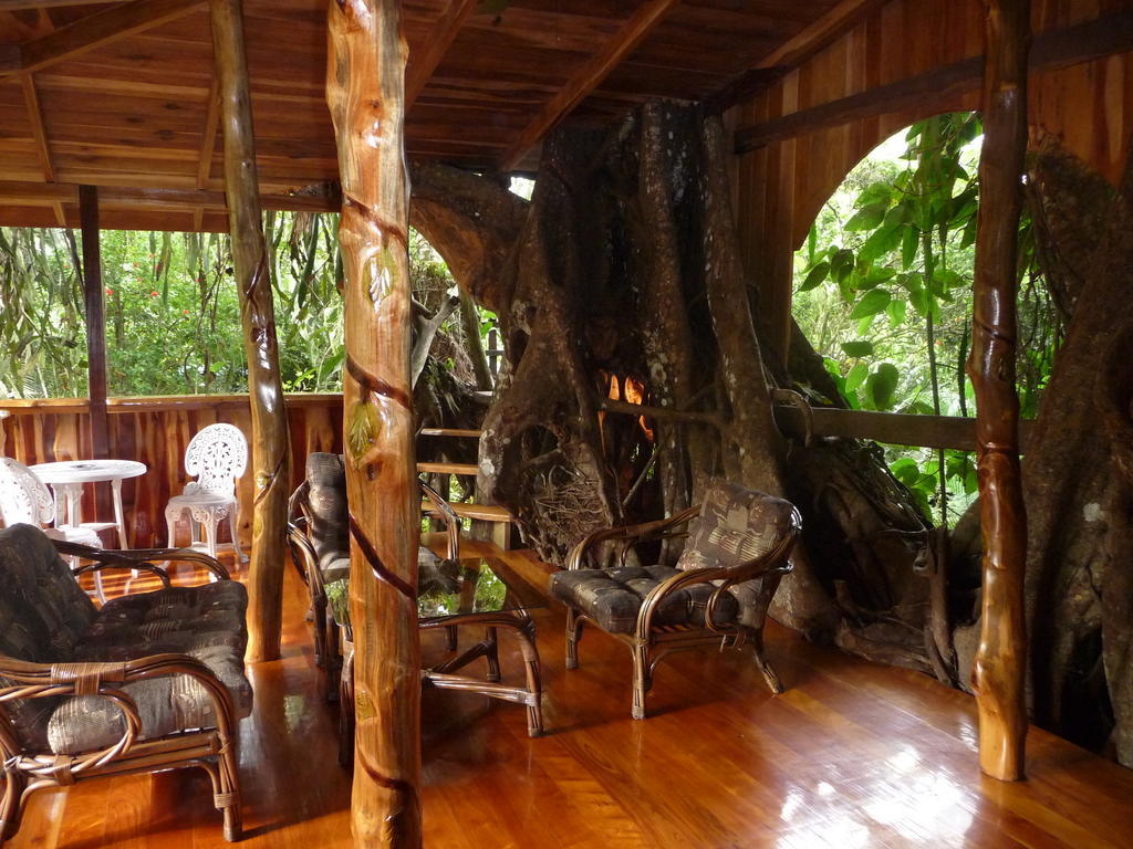Topos Tree House Cahuita Eksteriør bilde