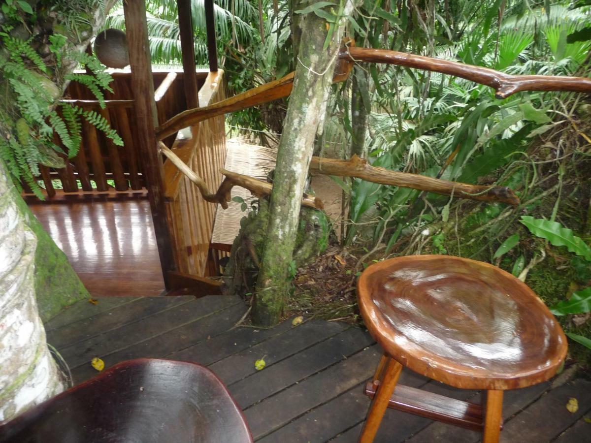 Topos Tree House Cahuita Eksteriør bilde