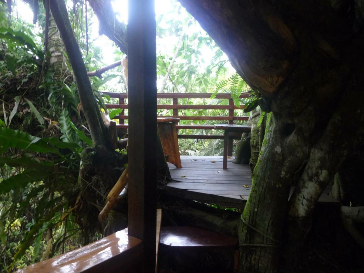 Topos Tree House Cahuita Eksteriør bilde
